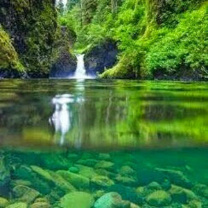 Meet your Posher, Horacio